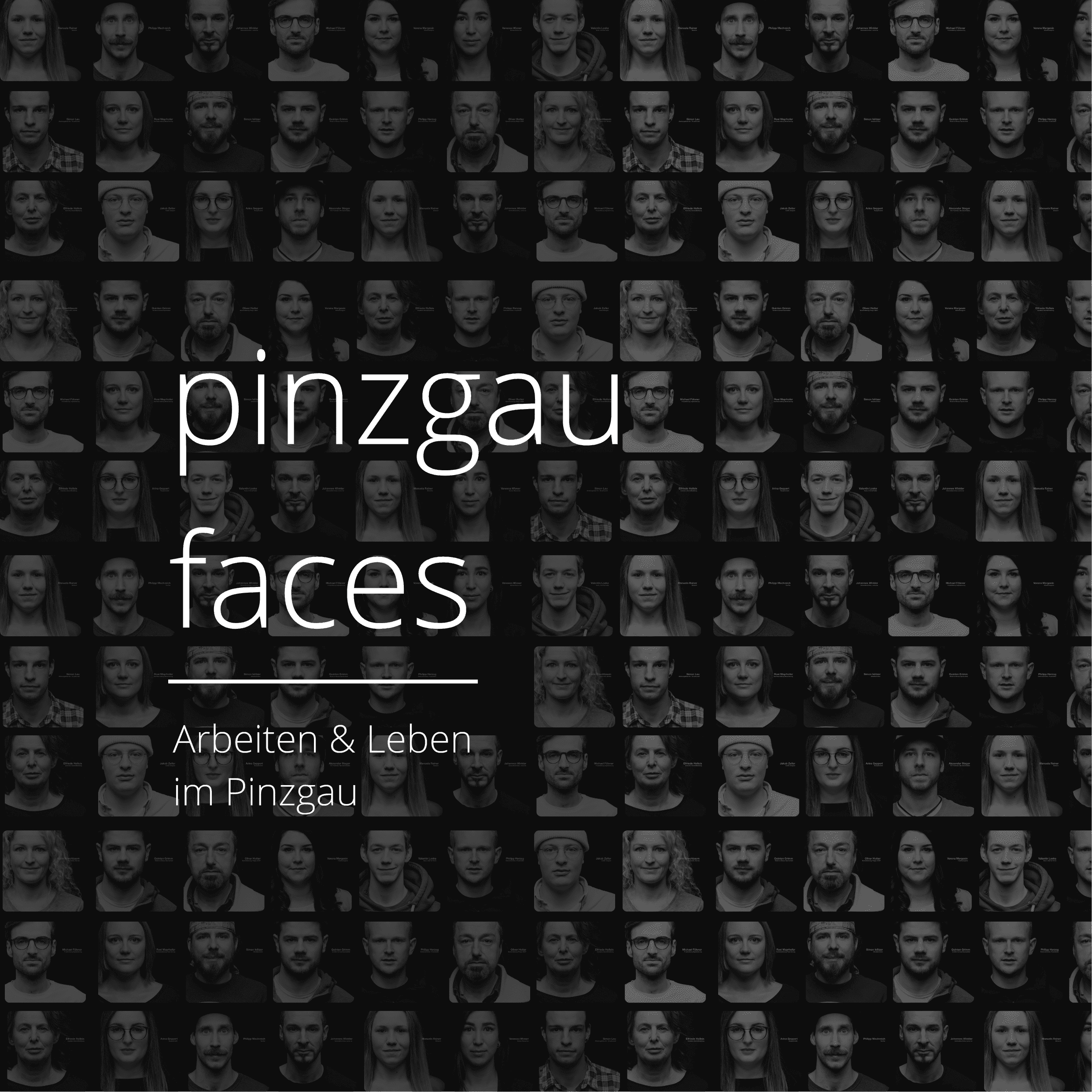 #pinzgaufaces